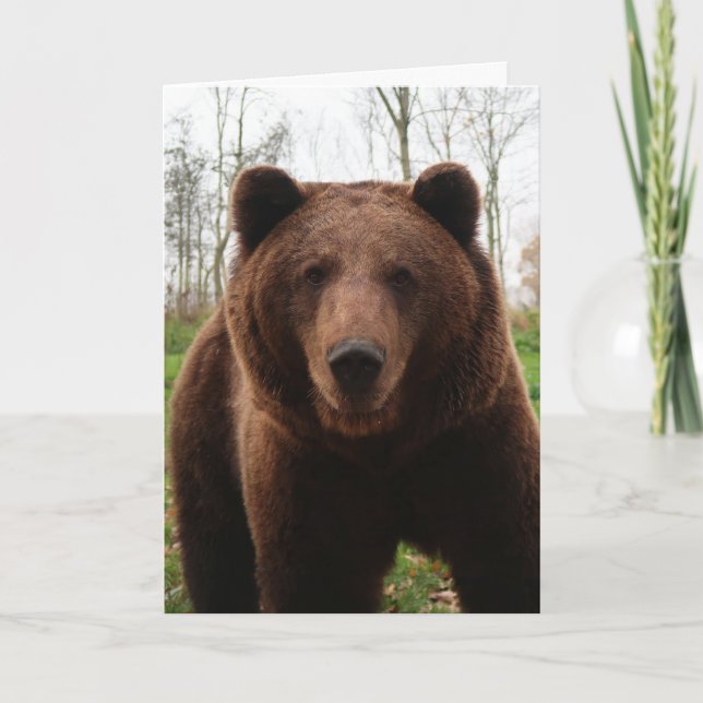 TARJETA DE CUMPLEAÑOS DE LA FOTOGRAFÍA DE OSO GRIZ (Anverso)