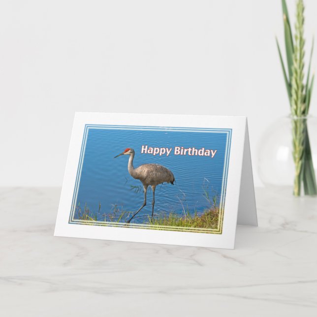 Tarjeta de cumpleaños de la grúa de Sandhill (Anverso)