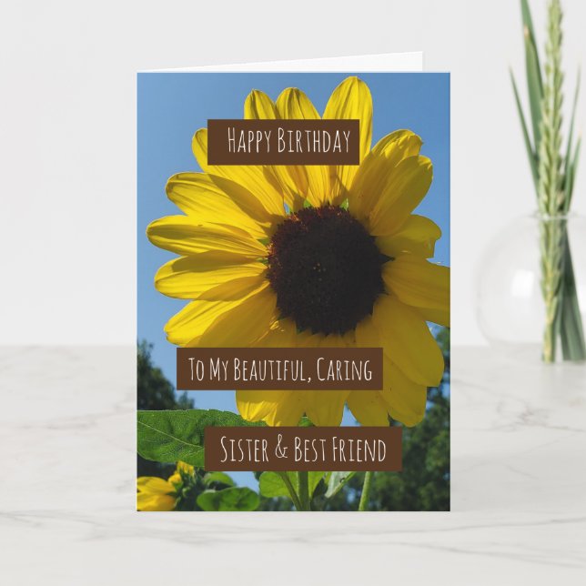 Tarjeta de cumpleaños de la hermana, bonitos giras (Anverso)