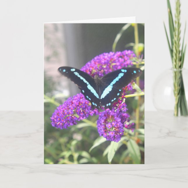 Tarjeta de cumpleaños de la hermana mariposa emerg (Anverso)