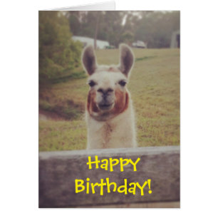 Tarjeta de cumpleaños de la llama