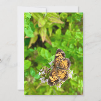 Tarjeta de cumpleaños de la mariposa Pearl Crescen