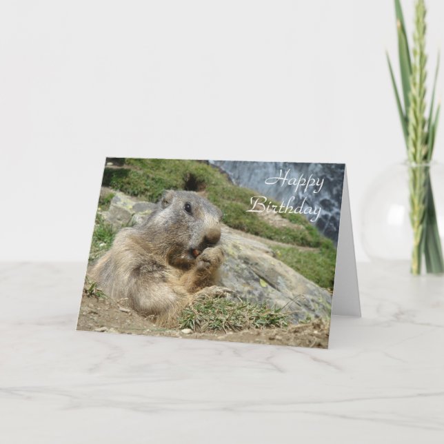 Tarjeta de cumpleaños de la marmota (Anverso)