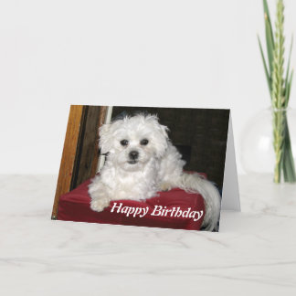 Tarjeta de cumpleaños de la miel