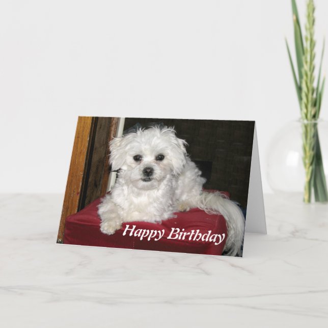 Tarjeta de cumpleaños de la miel (Anverso)