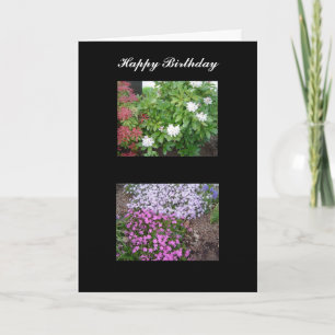 Tarjeta de cumpleaños de la naturaleza