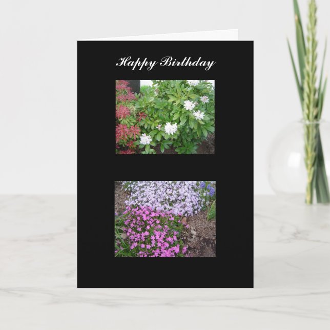 Tarjeta de cumpleaños de la naturaleza (Anverso)