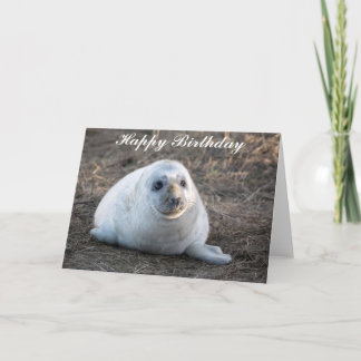 Tarjeta de cumpleaños de la preparación de foca gr