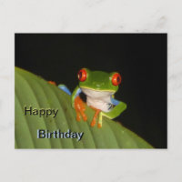 Tarjeta de cumpleaños de la rana llamativa de ojos