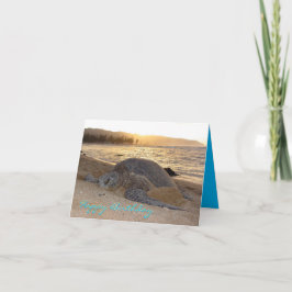 Tarjeta de cumpleaños de la tortuga del Mar Verde 