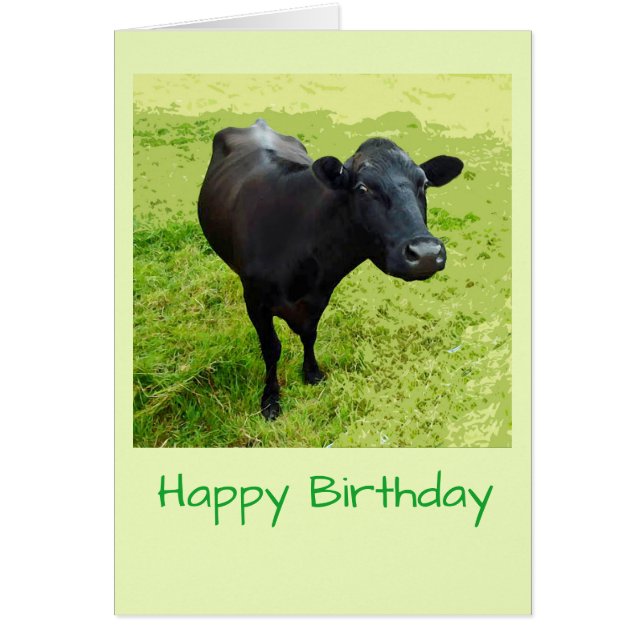 Tarjeta de cumpleaños de la vaca de Aberdeen Angus (Frente)