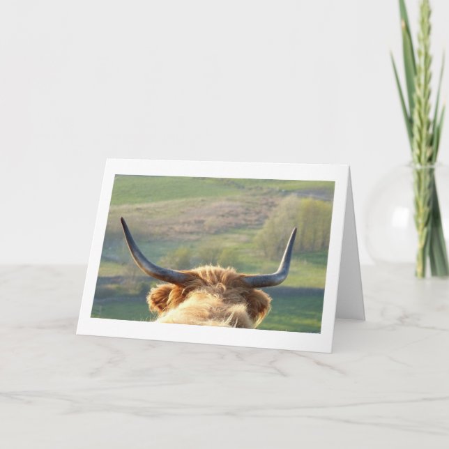 Tarjeta de cumpleaños de la vaca de la montaña (Anverso)