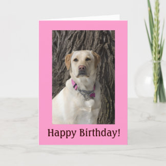 Tarjeta de cumpleaños de laboratorio amarillo rosa