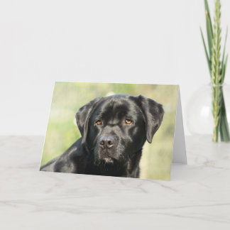 Tarjeta de cumpleaños de Labrador negro