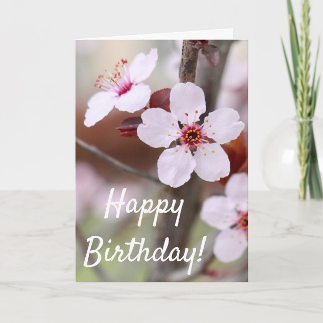 Tarjeta de cumpleaños de las flores de ciruela jap (Anverso)