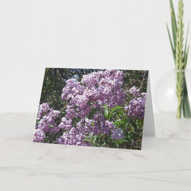 Tarjeta de cumpleaños de las lilas (Anverso)