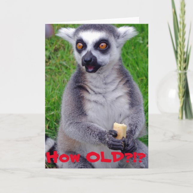Tarjeta de cumpleaños de Lemur impactada (Anverso)
