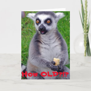 Tarjeta de cumpleaños de Lemur impactada