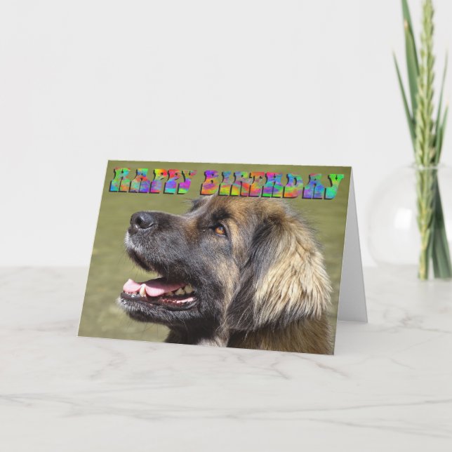 Tarjeta de cumpleaños de Leonberger (Anverso)