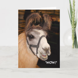 Tarjeta de cumpleaños de Llama