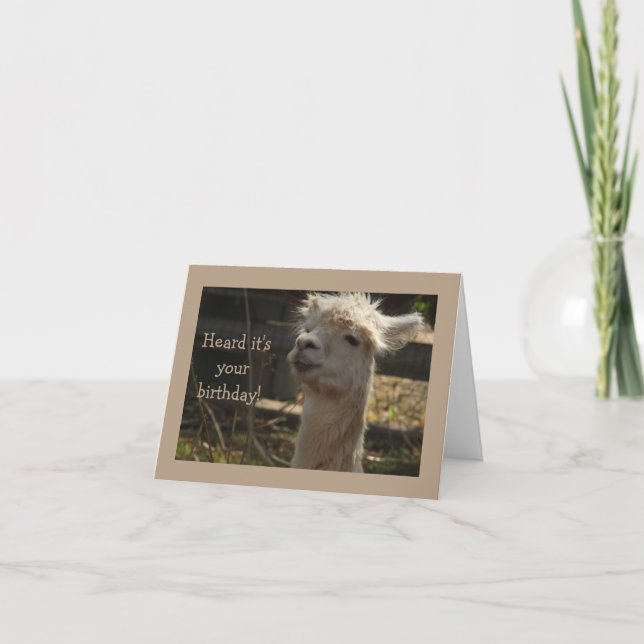 tarjeta de cumpleaños de llama (Anverso)