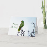 Tarjeta de cumpleaños de loros