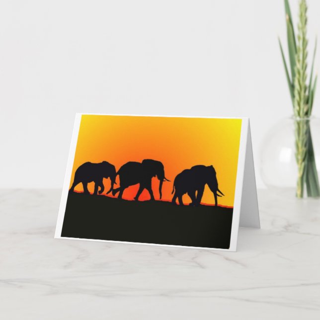 Tarjeta de cumpleaños de los elefantes de la (Anverso)