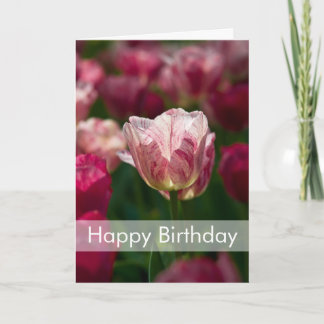 Tarjeta de cumpleaños de los tulipanes el |