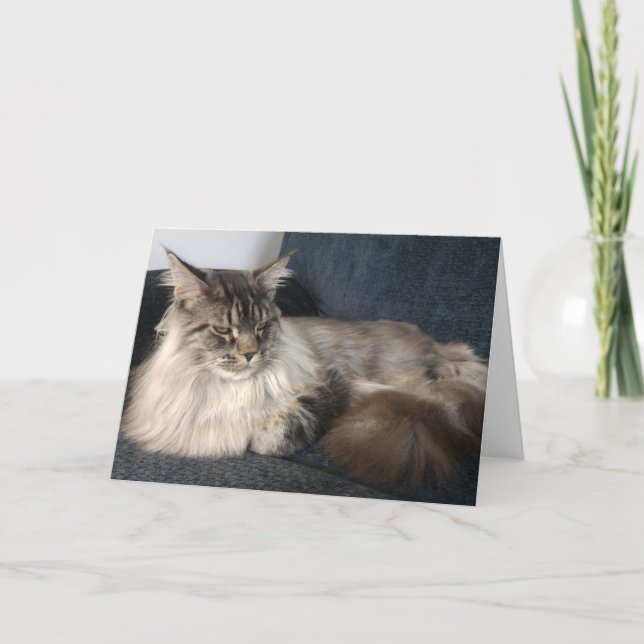 Tarjeta de cumpleaños de Maine Coon Cat (Anverso)