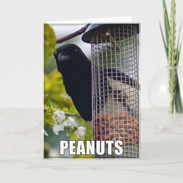 Tarjeta De Cumpleaños De Maní O Pastel De Pastel (Anverso)