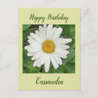 Tarjeta de cumpleaños de margarita blanca