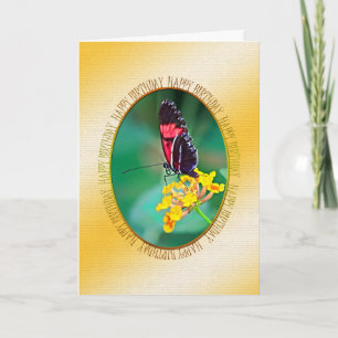 Tarjeta de cumpleaños de mariposa y flor