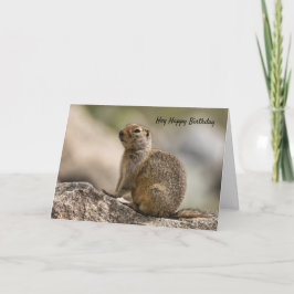 Tarjeta de cumpleaños de marmota