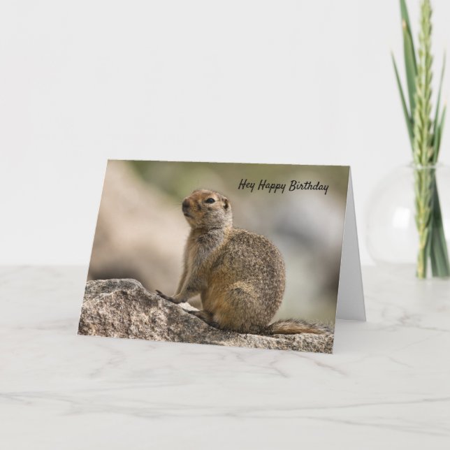 Tarjeta de cumpleaños de marmota (Anverso)