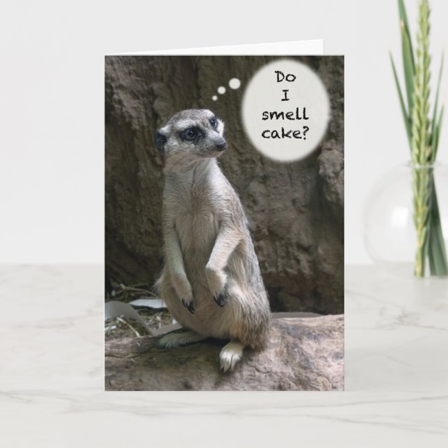 Tarjeta de cumpleaños de Meerkat (Anverso)