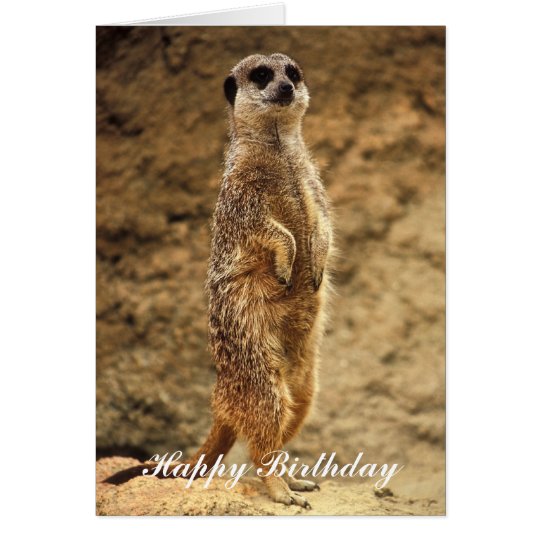 Tarjeta de cumpleaños de Meerkat