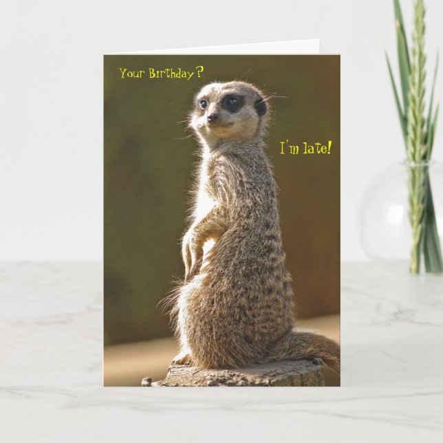 Tarjeta de cumpleaños de Meerkat Belated (Anverso)