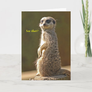 Tarjeta de Cumpleaños de Meerkat ¿Ves eso?