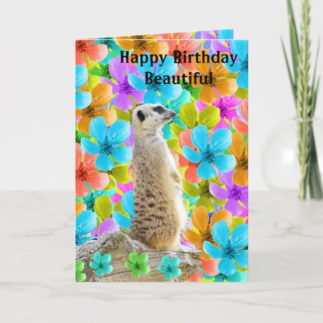 Tarjeta De Cumpleaños De Meerkat Y Blossoms, (Anverso)