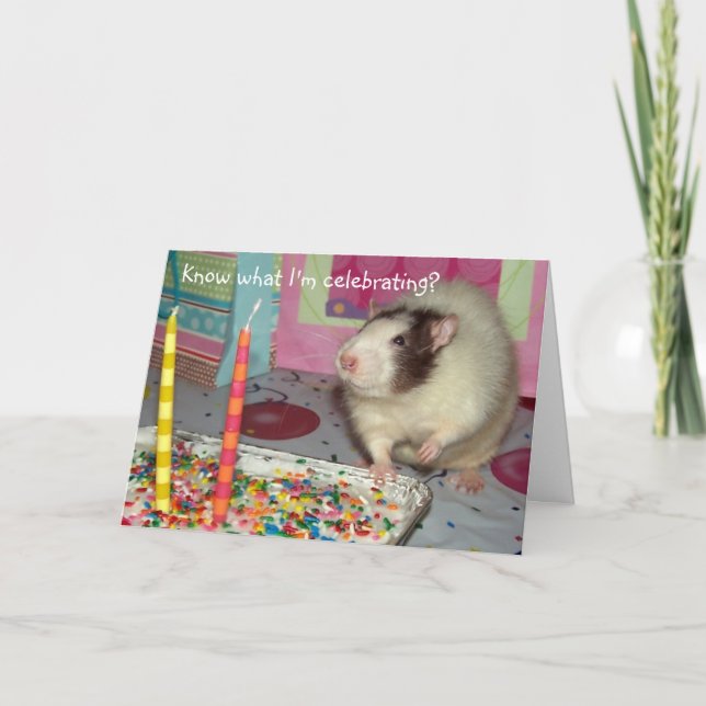 Tarjeta de cumpleaños de Ollie de la rata del (Anverso)