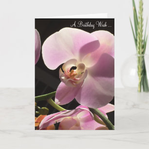 Tarjeta de cumpleaños de orquídea rosa