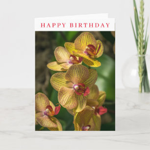 Tarjeta de cumpleaños de orquídeas amarillas en pr