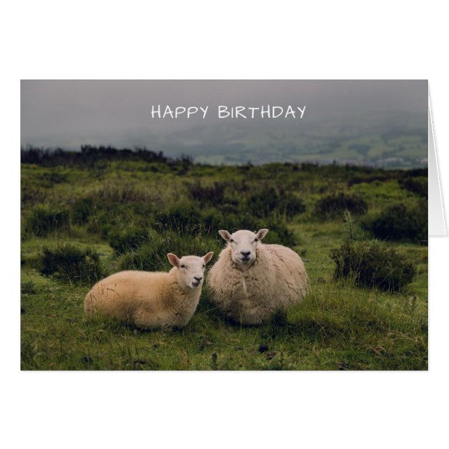 Tarjeta de cumpleaños de oveja cuta (Anverso (Horizontal))