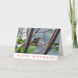 Tarjeta de cumpleaños de pájaro en un árbol
