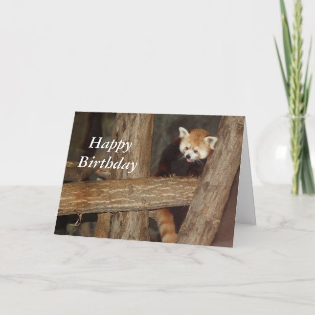 Tarjeta de cumpleaños de Panda Climbing (Anverso)