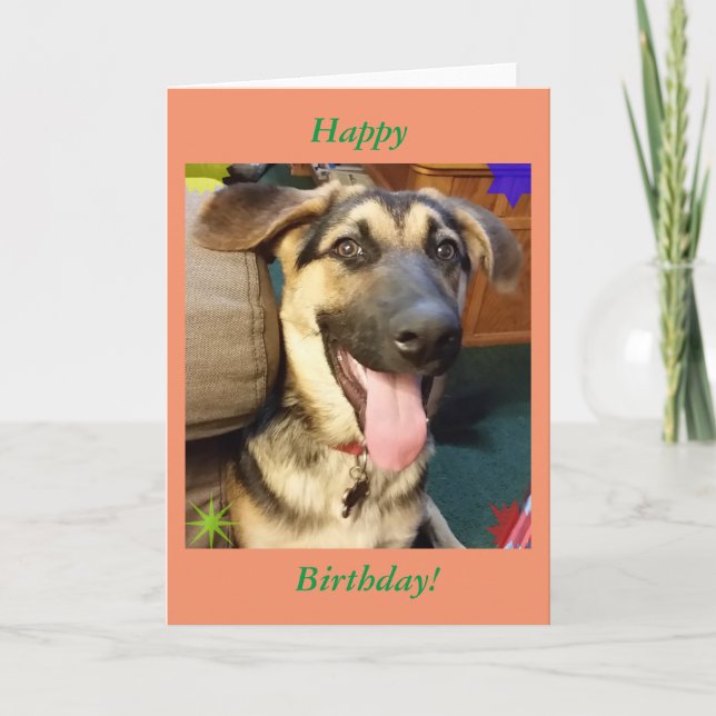 Tarjeta de cumpleaños de Pastor Alemán Feliz Perro (Anverso)