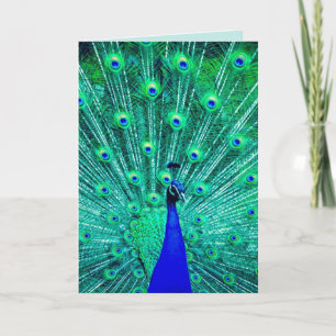 TARJETA DE CUMPLEAÑOS DE PEACOCK FUNNY