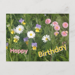 Tarjeta de cumpleaños de Pensamientos, Margaritas 