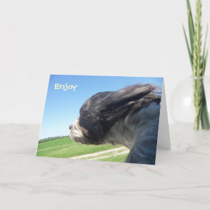 Tarjeta de cumpleaños de perro barrido de viento