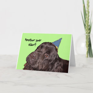 Tarjeta de cumpleaños de perro de Terranova